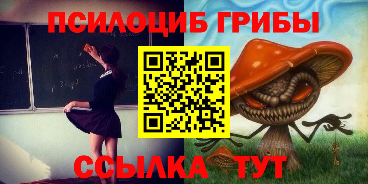 Выкса  Псилоцибиновые грибы Cubensis  Галлюциногенные грибы прущие грибы  Вход с VPN 